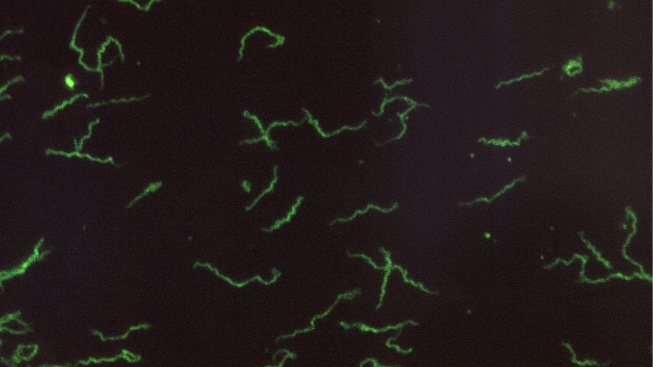 Gynecologist Tips (9)