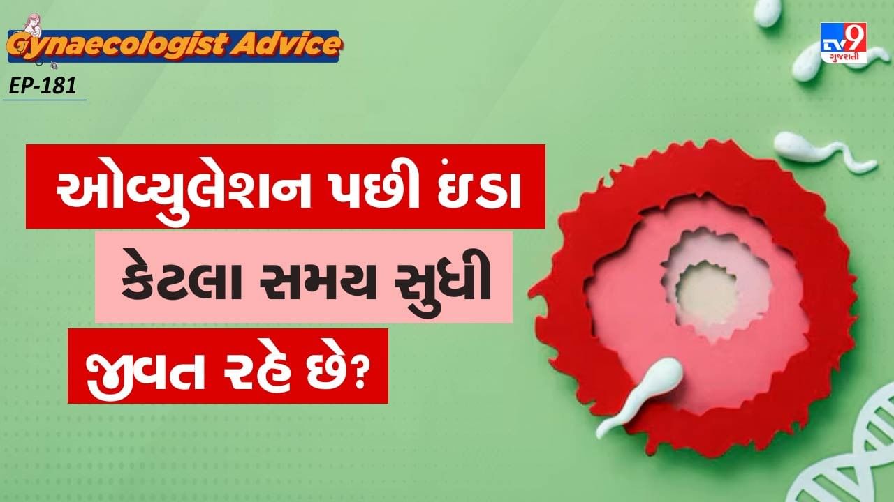 નોંધ : અહીં આપવામાં આવેલી માહિતી ફક્ત આપની જાણકારી માટે છે. કોઈ પણ ઈલાજ કરતાં પહેલા કે,અમલમાં લેતા પહેલા નિષ્ણાતોની સલાહ લેવી જરુરી છે. ( all photo:canva)