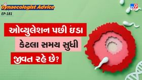 ઓવ્યુલેશન પછી ઇંડા કેટલા સમય સુધી જીવત રહે છે?