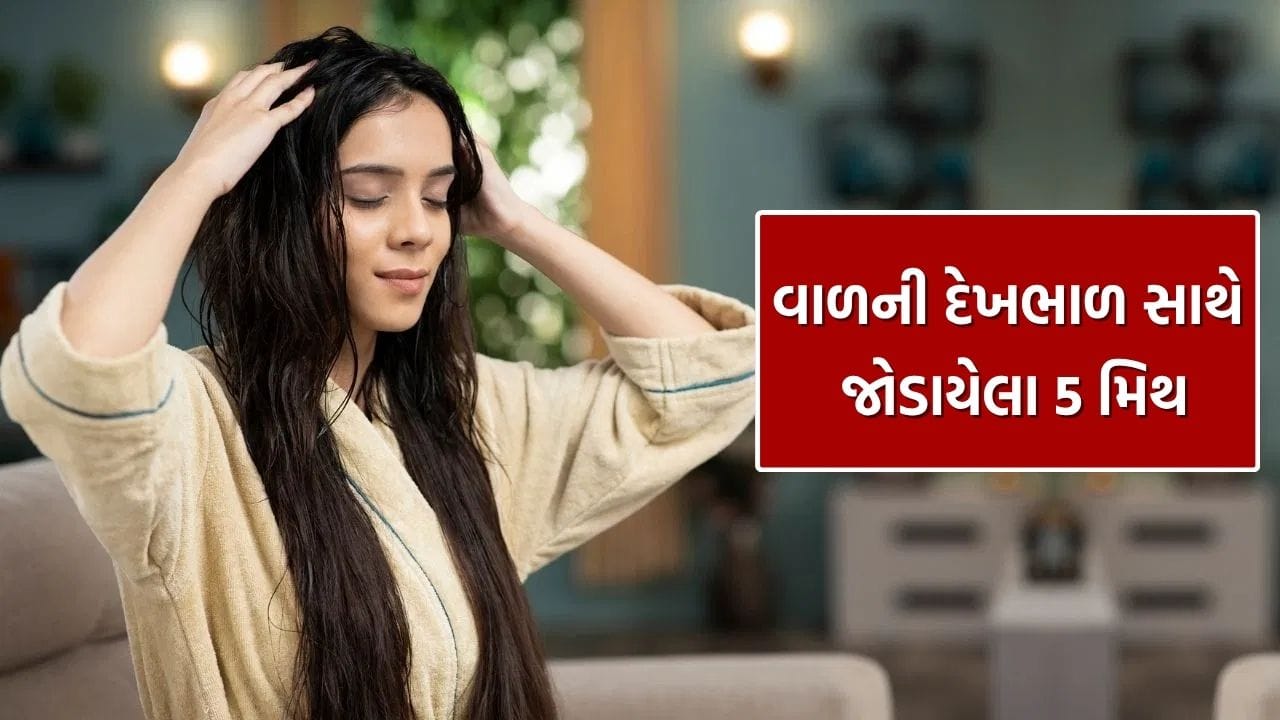 વાળના યોગ્ય વિકાસ માટે અને વાળ સંબંધિત સમસ્યાઓ જેમ કે ખોડો, વાળ ખરવા, વાળ તૂટવા અને વિભાજીત છેડા અટકાવવા માટે યોગ્ય વાળની ​​સંભાળ ખૂબ જ મહત્વપૂર્ણ છે. સ્વસ્થ વાળ જાળવવા માટે, લોકો મોંઘા શેમ્પૂ, સીરમ, તેલ, વાળના માસ્ક, હેર પેક અને કન્ડિશનરનો ઉપયોગ કરે છે. ઘણા લોકો સોશિયલ મીડિયા પર પ્રમોટ કરવામાં આવતા DIY હેક્સ પર પણ આધાર રાખે છે. તેવી જ રીતે, વાળ વિશે ઘણી ગેરમાન્યતાઓ છે જે લોકો સરળતાથી માને છે. આ લેખ આ માન્યતાઓની વિગતવાર તપાસ કરશે.