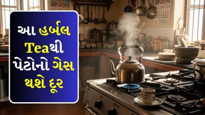 ભારે ખોરાક ખાધા પછી ગેસ, પેટનું ફૂલવું અને પેટમાં ભારેપણું અનુભવવું સામાન્ય છે. ઘણા લોકો ગેસનો અનુભવ થાય ત્યારે તરત જ દવા તરફ વળે છે. પરંતુ શું તમે જાણો છો કે આપણા રસોડામાં રહેલી કેટલીક સરળ સામગ્રી આ સમસ્યાને મિનિટોમાં દૂર કરી શકે છે.