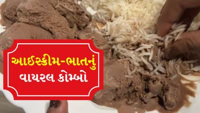 સ્વાદનો સત્યનાશ ! માણસે આઈસ્ક્રીમમાં નાખ્યા બાફેલા ભાત, ફોટો જોઈને ફૂડ બ્લોગર્સ ચોંકી ગયા