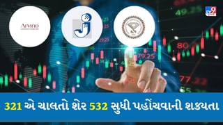 Stocks Forecast 2025: આ સ્ટોકના ભાવ વધવા ઉપર જ છે, 321 એ ચાલતો શેર 532 સુધી પહોંચવાની શક્યતા