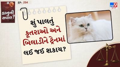 Indian Railways Pet Rules: ભારતમાં પાલતુ પ્રાણીઓ સાથે મુસાફરી કરવી ખૂબ જ મૂંઝવણભર્યું હોઈ શકે છે. ખાસ કરીને જ્યારે ટ્રેનોની વાત આવે છે. ઘણા પાલતુ પ્રાણીઓના માલિકો ભારતીય રેલવેમાં કૂતરાઓને મંજૂરી છે કે નહીં તે અંગે મૂંઝવણમાં છે. જવાબ હા છે. કૂતરાઓ ટ્રેનોમાં મુસાફરી કરી શકે છે, પરંતુ સલામતી, સ્વચ્છતા અને મુસાફરોના આરામની ખાતરી કરવા માટે રચાયેલ ચોક્કસ નિયમો હેઠળ જ. ચાલો જાણીએ કે આ નિયમો શું છે.
