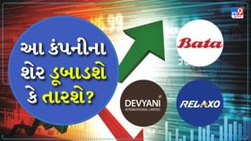 Stocks Forecast 2025: આ કંપનીના શેર ડૂબાડશે કે તારશે?