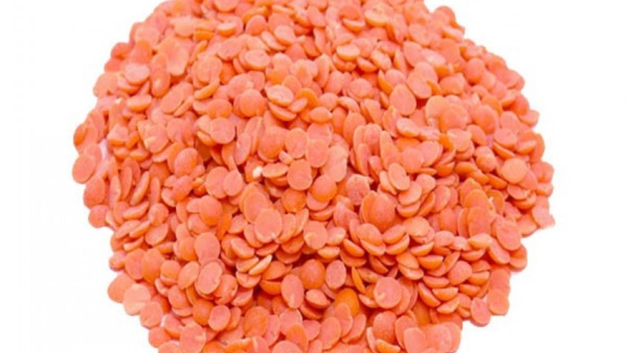 વૈજ્ઞાનિક અને આયુર્વેદિક દ્રષ્ટિકોણ: વૈજ્ઞાનિક રીતે મસૂરમાં માંસ જેવા કોઈ ગુણો હોતા નથી. તેમાં પ્રોટીન, ફાઇબર અને આયર્ન વધુ માત્રામાં હોય છે, જે શરીર માટે ફાયદાકારક છે.