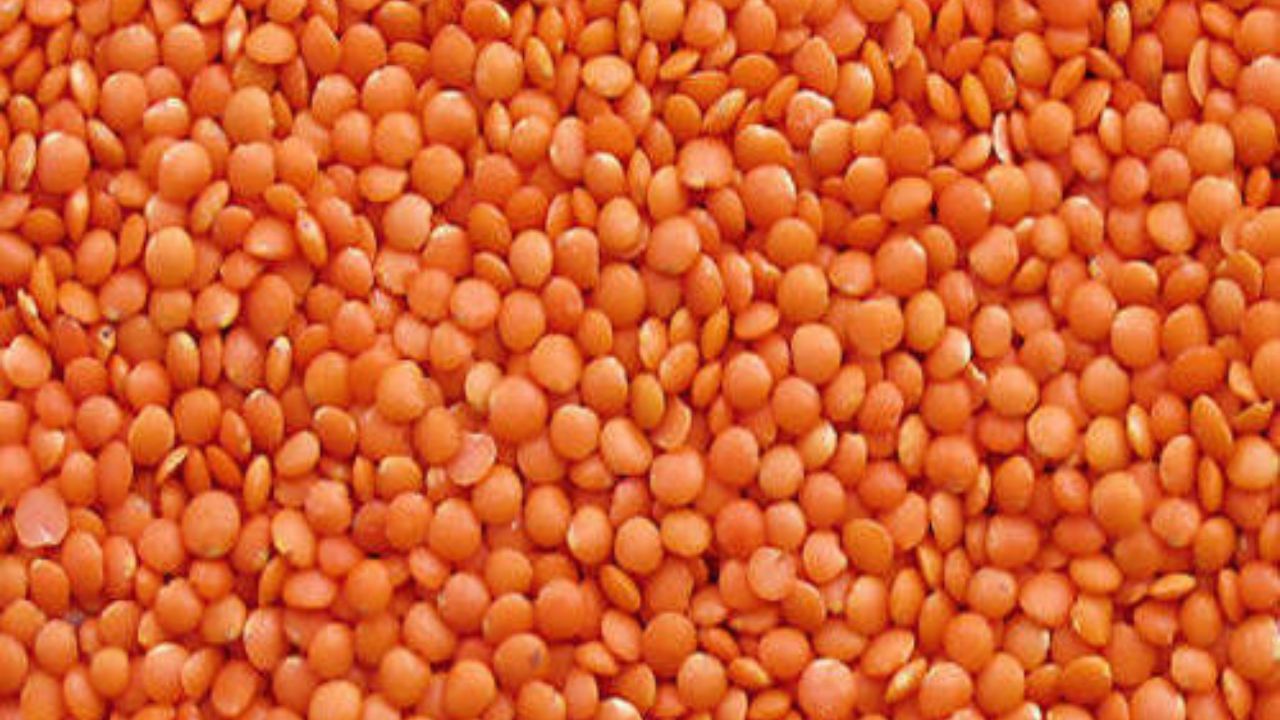 જો કે આયુર્વેદ અનુસાર, તેમને "તામસિક ખોરાક" માનવામાં આવે છે, જેનો અર્થ છે કે તેમના સેવનથી ભારેપણું અને સુસ્તી વધી શકે છે. તેથી જેઓ માનસિક શાંતિ અને સાત્વિક જીવનશૈલી માટે પ્રયત્નશીલ છે તેઓ તેમને ટાળે છે.