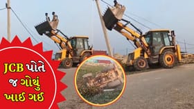 વીજળીનો થાંભલો ઉખેડતા, JCB પોતે જ ગોથું ખાઈ લીધું, જુઓ Video
