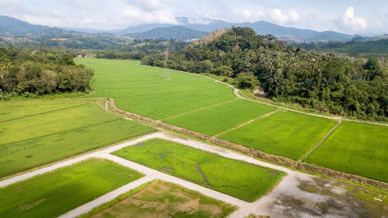 અમે જે સરકારી લોન વિશે વાત કરી રહ્યા છીએ તે મેળવવા માટે, તમારી પાસે ખેતીલાયક જમીન હોવી જરૂરી છે. અમે KCC (કિસાન ક્રેડિટ કાર્ડ) વિશે વાત કરી રહ્યા છીએ.