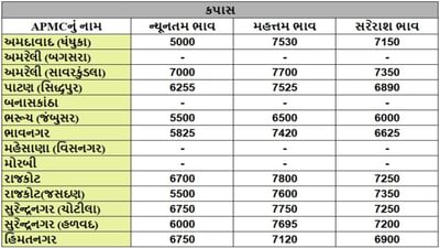 કપાસના તા.04-11-2025ના રોજ APMCના ભાવ રૂ.5000 થી 7800 રહ્યા.
