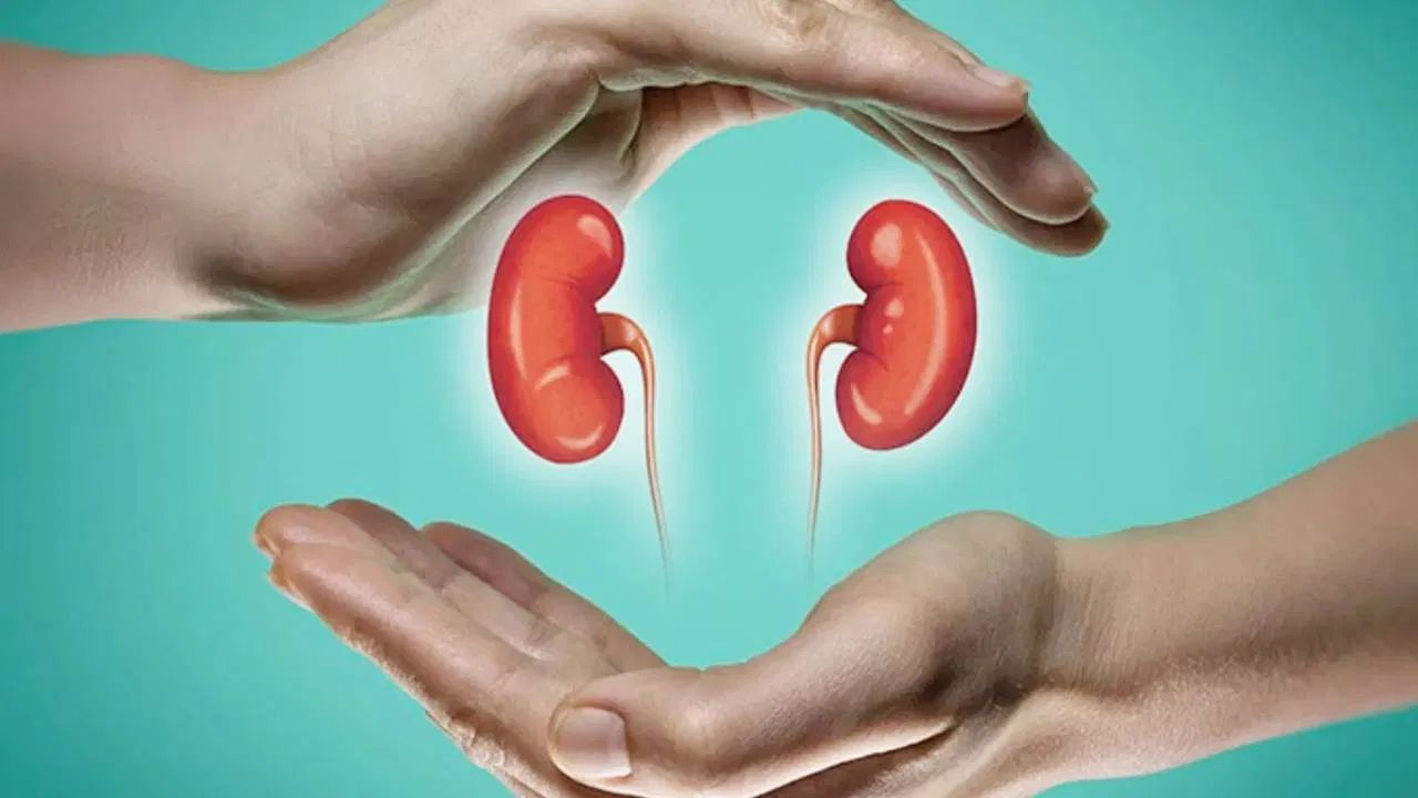 કિડની નુકસાનના લક્ષણો ફક્ત પેટના દુખાવા અથવા પીઠના દુખાવા સુધી મર્યાદિત નથી; આપણી આંખોથી પણ સ્પષ્ટ રીતે જાણી શકાય છે. ચાલો કિડનીના નુકસાનના ચાર ચિહ્નો શોધી કાઢીએ જે તમારી આંખોમાં સીધા દેખાઈ શકે છે અને તેને અવગણવા જોઈએ નહીં.