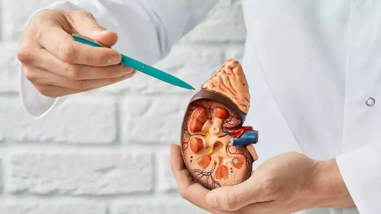 કિડની સ્ટોન કેવી રીતે અટકાવવી - કિડની સ્ટોન એક પીડાદાયક સ્થિતિ છે. તેથી, તેમાંથી બચવા માટે કેટલીક બાબતોનું ધ્યાન રાખવું અને બેદરકારી ટાળવી શ્રેષ્ઠ છે. કેટલીક ટિપ્સની મદદથી તમે તમારી જાતને સુરક્ષિત રાખી શકો છો: દરરોજ ઓછામાં ઓછું 3 લિટર પાણી પીવો. આ તમને હાઇડ્રેટેડ રહેવામાં મદદ કરશે અને તમારી કિડની યોગ્ય રીતે કાર્ય કરી શકશે. મીઠાનું સેવન નોંધપાત્ર રીતે મર્યાદિત હોવું જોઈએ. તમારા આહારમાં મીઠું ઓછું કરો. પ્રોસેસ્ડ ખોરાકને સંપૂર્ણપણે ટાળો અને તેના બદલે તમારા આહારમાં તાજા ફળો અને શાકભાજીનો સમાવેશ કરો. તમારા આહારમાં સાઇટ્રસ ફળો અને ફાઇબરનો સમાવેશ કરો. આ પથરી બનવાનું જોખમ ઘટાડે છે. કાર્બોનેટેડ પીણાં ટાળો, કારણ કે આ કિડની પથરીના જોખમને વધારે છે.