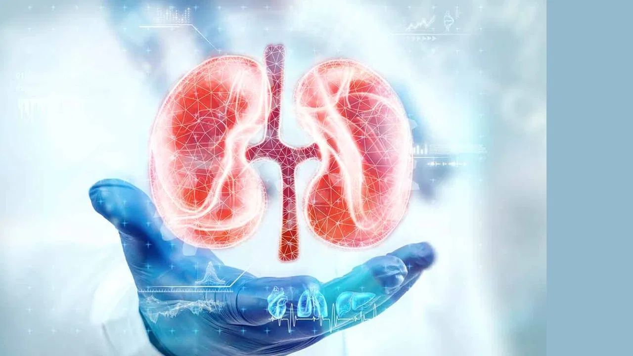 કિડની સ્ટોનના લક્ષણો - જ્યારે કિડની સ્ટોન બનવાનું શરુ થાય છે, ત્યારે શરીરમાં ચોક્કસ લક્ષણો દેખાય છે. વહેલા ઓળખવાથી યોગ્ય સારવાર મેળવવામાં મદદ મળે છે. કિડની સ્ટોન કેટલાક સામાન્ય અને શરૂઆતના લક્ષણો છે: પેશાબમાં લોહી, પેશાબ કરતી વખતે બળતરા થવી, વારંવાર પેશાબ કરવાની ઇચ્છા થવી, પીઠ અથવા પેટના નીચેના ભાગમાં તીવ્ર દુખાવો.