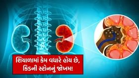 કિડની સ્ટોનનું જોખમ શિયાળામાં કેમ વધારે હોય છે! સામાન્ય લક્ષણો જાણી લો