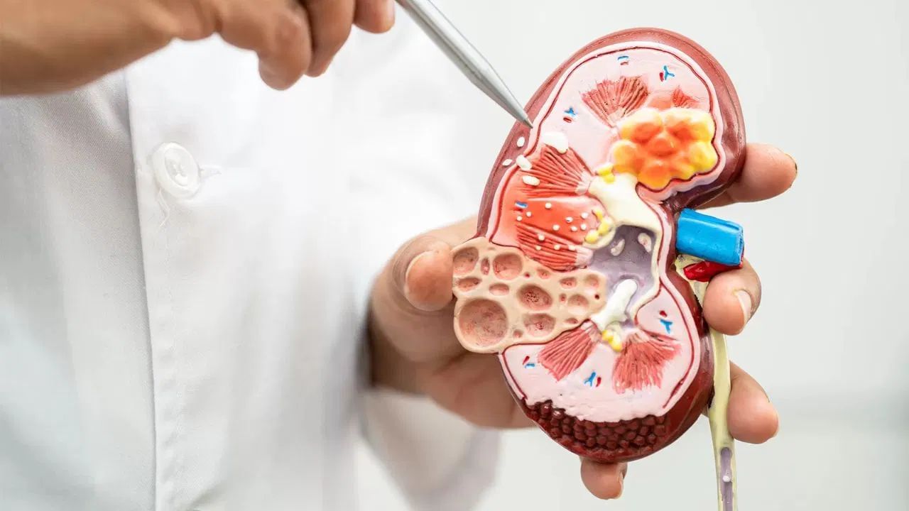 Disclaimer: આ લેખમાં લખેલી સલાહ અને સૂચનો ફક્ત સામાન્ય માહિતી માટે છે. કોઈપણ સમસ્યા અથવા પ્રશ્નો માટે નિષ્ણાતની સલાહ લો.