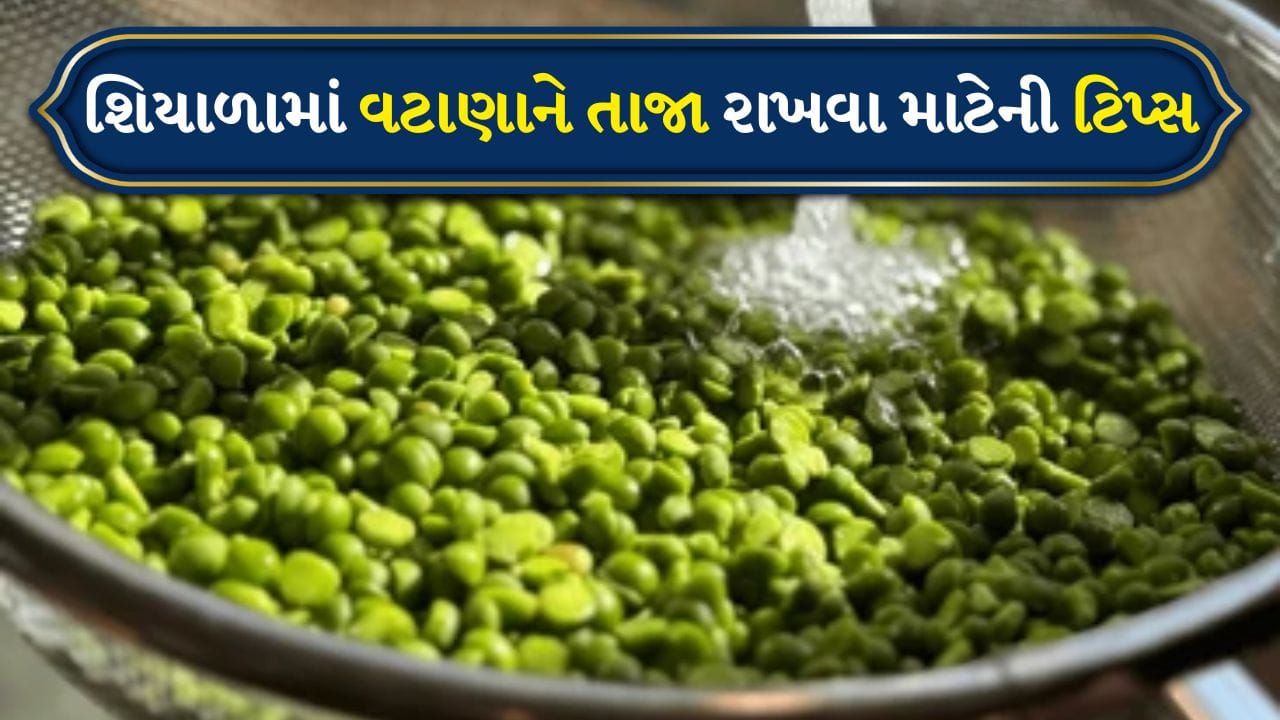 શિયાળો આવતાની સાથે બજારમાં તાજા લીલા વટાણા પુષ્કળ પ્રમાણમાં આવવા લાગે છે. વટાણાનો સ્વાદ કોઈપણ શાકભાજીમાં જીવંતતા ઉમેરે છે. પછી ભલે તમે તેમને પુલાવમાં ઉમેરો, બટાકા-વટાણાની કઢી બનાવો, તેમને પરાઠામાં ભરો અથવા કટલેટ અને ટિક્કીમાં વાપરો. પરંતુ એક સમસ્યા હંમેશા રહે છે: આટલા બધા તાજા વટાણાને લાંબા સમય સુધી કેવી રીતે સાચવી શકાય? ઘણા લોકો ફક્ત તેમને બેગમાં મૂકીને રેફ્રિજરેટરમાં સંગ્રહિત કરે છે, પરંતુ થોડા દિવસોમાં તે સંકોચાવા લાગે છે અને તેનો સ્વાદ ઓછો થઈ જાય છે.
