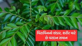 મીઠા લીમડાના પાંદડાં છે વિટામિનનો ભંડાર, શરીર માટે વરદાન સમાન