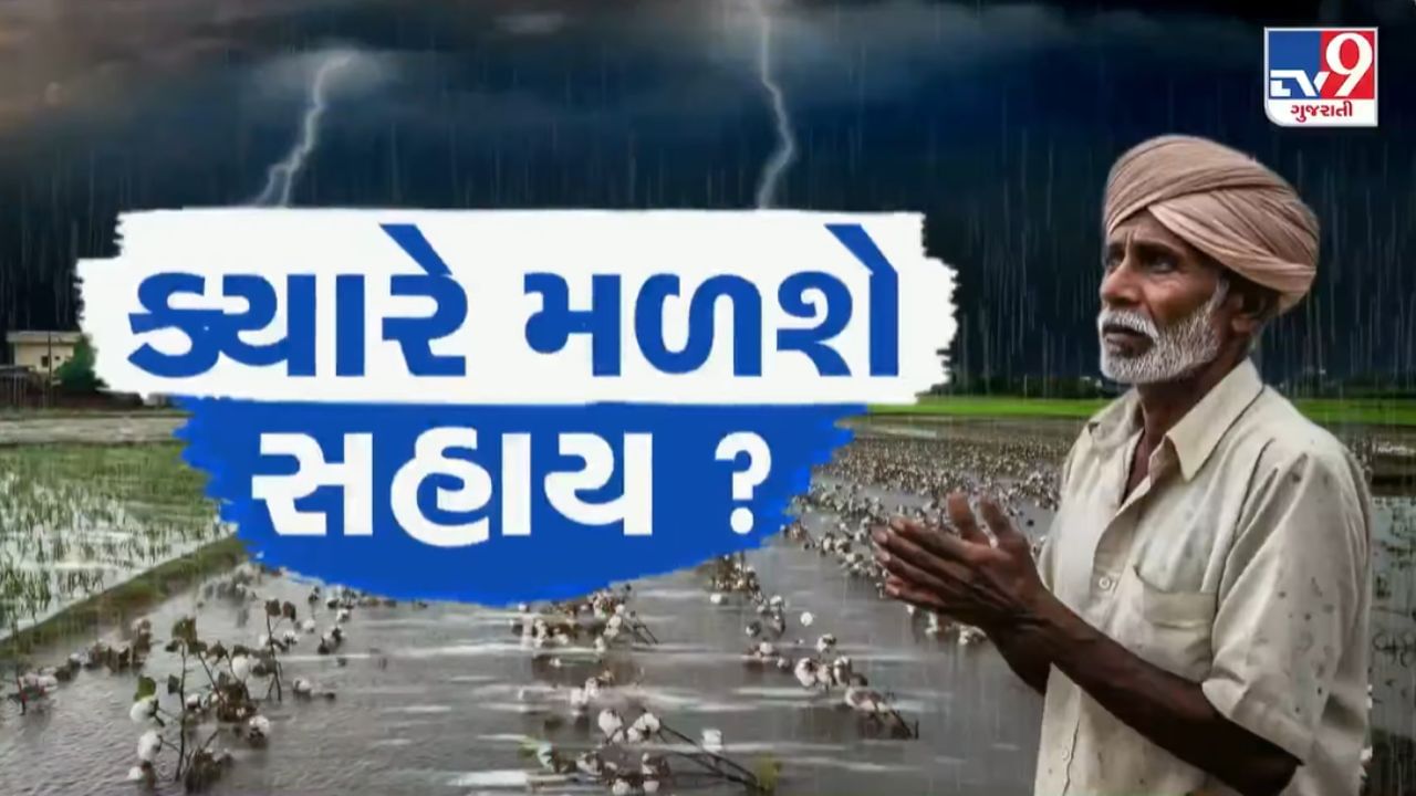 વિજાપુરમાં કમોસમી વરસાદે ખેડૂતોની આખા વર્ષની મહેનત પર પાણી ફેરવ્યું, પાક નુકસાનીનું વળતર ચુકવવાની માગ, જુઓ Video