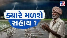 વિજાપુરમાં કમોસમી વરસાદે ખેડૂતોની આખા વર્ષની મહેનત પર પાણી ફેરવ્યું