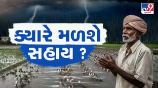 વિજાપુરમાં કમોસમી વરસાદે ખેડૂતોની આખા વર્ષની મહેનત પર પાણી ફેરવ્યું