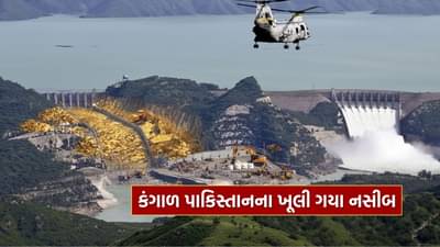 Gold Reserve : નાપાક દેશ પાકિસ્તાનના ખૂલ્યા કિસ્મત, અહીં મળ્યો વિશાળ સોનાનો ભંડાર