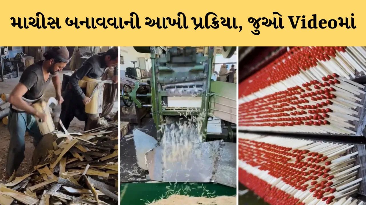 માચીસ કેવી રીતે બને છે? Viral Video માં જુઓ લાકડામાંથી માચીસ બનાવવાની પ્રક્રિયા