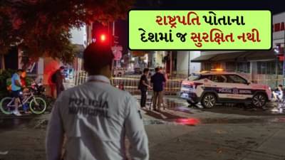 આ દેશના મહિલા રાષ્ટ્રપતિ સાથે રસ્તા પર એક પુરુષે કરી છેડતી કરી, Kiss કરવાનો પ્રયાસ કરવા બદલ કેસ થયો દાખલ