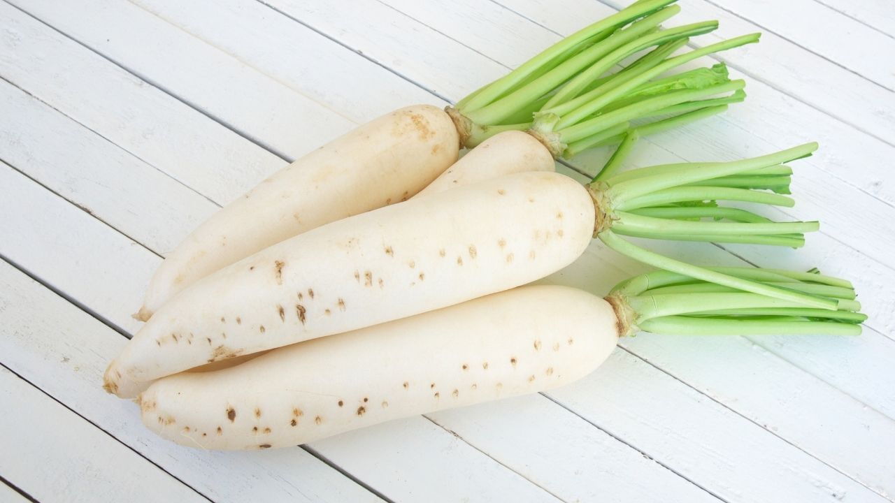 મૂળા ખાવાથી પાચનમાં સુધારો થાય છે, વજન ઘટાડવામાં મદદ મળે છે અને શરીરને હાઇડ્રેટ કરવામાં મદદ મળે છે. જો કે, અમુક તબીબી પરિસ્થિતિઓમાં તે ટાળવું જોઈએ.