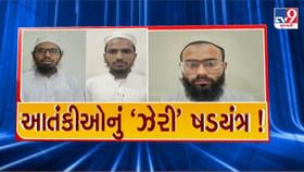 આતંકીઓ પાસેથી 3 પિસ્તોલ, 30 કારતૂસ અને કેમિકલ મળી આવ્યું