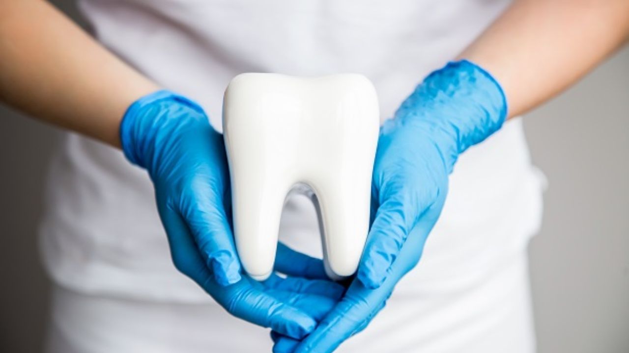 ક્યારે બ્રશ કરવું જોઈએ?: ડૉ. વંદના કહે છે કે સવારે બ્રશ કરવું સારું છે, પણ રાત્રે બ્રશ કરવું વધુ મહત્વનું છે. આનું કારણ એ છે કે દિવસભર ખાધા પછી નાના ખોરાકના કણો તમારા દાંત વચ્ચેના પાર્ટિકલ્સમાં અટવાઈ જાય છે. દિવસ કરતાં રાત્રે ઓછી લાળ ઉત્પન્ન થતી હોવાથી બેક્ટેરિયા તમારા મોંમાં વધે છે. આ બેક્ટેરિયા તમારા દાંત પર હુમલો કરે છે, જેના કારણે પોલાણથી લઈને સડો અને શ્વાસની દુર્ગંધ આવે છે.