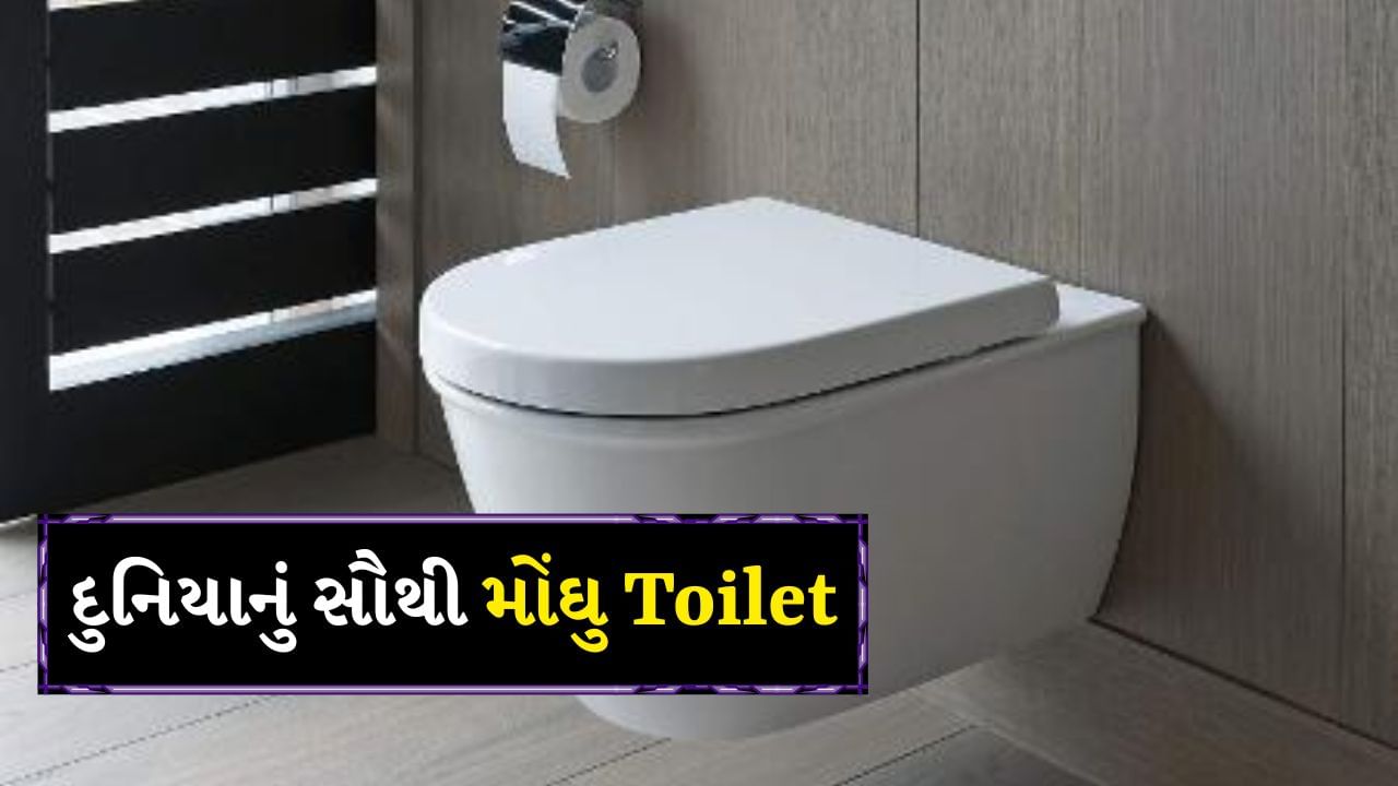 વિશ્વ ટોયલેટ દિવસ દર વર્ષે આપણને યાદ અપાવે છે કે શૌચાલય ફક્ત એક જરૂરિયાત નથી, પરંતુ ગૌરવ, સ્વાસ્થ્ય અને આધુનિક જીવનનો એક મહત્વપૂર્ણ ભાગ છે. પરંતુ જો આપણે કહીએ કે વિશ્વનું સૌથી મોંઘુ શૌચાલય કોઈ મહેલ, રાજા કે અબજોપતિના ઘરમાં નથી, પરંતુ એવી જગ્યાએ છે જ્યાં બહુ ઓછા લોકો કલ્પના પણ કરી શકે છે. તેની કિંમત એટલી ઊંચી છે કે તે સરળતાથી બે કે ત્રણ વૈભવી બંગલા બનાવી શકે છે. આ શૌચાલય ક્યાં છે, અને તેની જરૂર શા માટે હતી? ચાલો જાણીએ.
