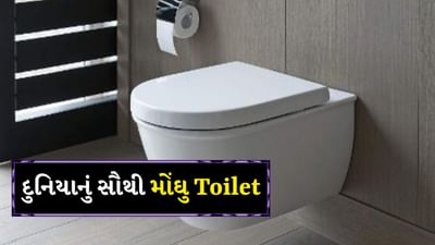 વિશ્વ ટોયલેટ દિવસ દર વર્ષે આપણને યાદ અપાવે છે કે શૌચાલય ફક્ત એક જરૂરિયાત નથી, પરંતુ ગૌરવ, સ્વાસ્થ્ય અને આધુનિક જીવનનો એક મહત્વપૂર્ણ ભાગ છે. પરંતુ જો આપણે કહીએ કે વિશ્વનું સૌથી મોંઘુ શૌચાલય કોઈ મહેલ, રાજા કે અબજોપતિના ઘરમાં નથી, પરંતુ એવી જગ્યાએ છે જ્યાં બહુ ઓછા લોકો કલ્પના પણ કરી શકે છે. તેની કિંમત એટલી ઊંચી છે કે તે સરળતાથી બે કે ત્રણ વૈભવી બંગલા બનાવી શકે છે. આ શૌચાલય ક્યાં છે, અને તેની જરૂર શા માટે હતી? ચાલો જાણીએ.
