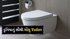 આ જગ્યાએ છે દુનિયાનું સૌથી મોંઘુ Toilet