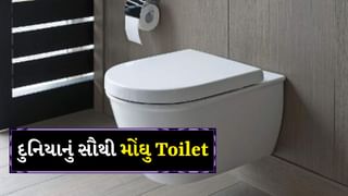 દુનિયાનું સૌથી મોંઘુ Toilet કોની પાસે છે? જેની કિંમતમાં 2-3 મોટા વૈભવી બંગલા આવી જાય
