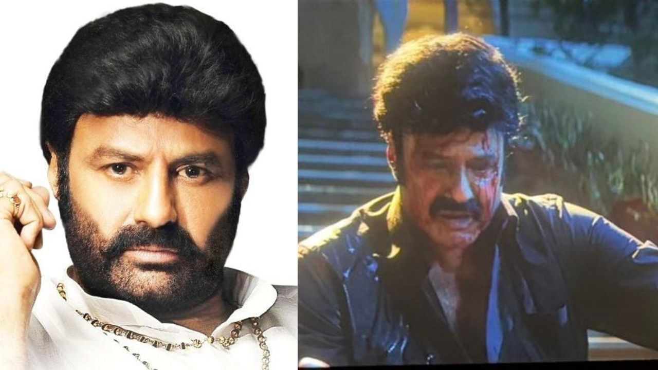 1982માં તેલુગુ દેશમ પાર્ટી (ટીડીપી) ની સ્થાપના થઈ ત્યારથી, બાલકૃષ્ણએ રામા રાવ અને ચંદ્રાબાબુ નાયડુ માટે દરેક ચૂંટણીમાં તેના માટે પ્રચાર કર્યો હતો, 