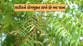 Health Tips: ખાલી પેટ કડવા લીમડાના પાન ખાવાના અદ્દભૂત ફાયદા