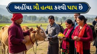 Cow: ભારતનું નહીં પણ આ દેશનું રાષ્ટ્રીય પ્રાણી છે ગાય, અહીં ગૌ હત્યા કરવું એ પાપ છે