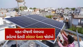 300 યુનિટ મફત વીજળી મેળવવા ફ્લેટમાં કેટલા મેગાવોટ સોલાર પેનલની જરૂર ?