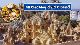 ગુજરાતના આ શહેરમાં મટન ચિકન તો છોડો હવે ઈંડા પણ નહીં મળે