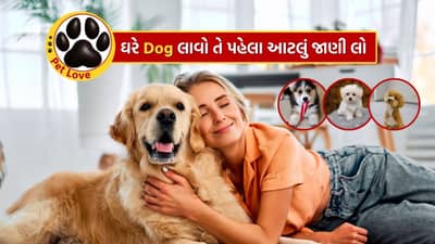ઘરે Dog લાવવાનું વિચારો છો? તો પહેલા ધ્યાનમાં રાખજો આ મહત્વની બાબતો