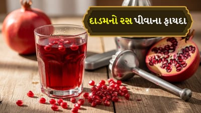 ફળો સ્વાસ્થ્ય માટે ખૂબ જ ફાયદાકારક છે અને તેથી જ તેમને સ્વાસ્થ્યનો ખજાનો માનવામાં આવે છે. આનું કારણ એ છે કે ફળોમાં નોંધપાત્ર માત્રામાં ફાઇબર, વિટામિન, ખનિજો અને એન્ટીઑકિસડન્ટો હોય છે. ફળોનું સેવન કરવાથી આ પોષક તત્વો અને સૂક્ષ્મ પોષકતત્ત્વોની ઉણપ દૂર થાય છે. તેથી નિષ્ણાતો ફળો અથવા તેમના રસનું સેવન કરવાની ભલામણ કરે છે.