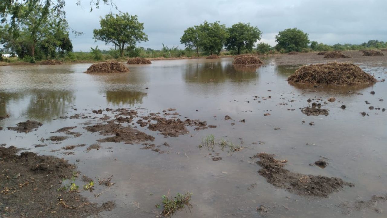 Porbandar : બરડા પંથકમાં વરસ્યો ધોધમાર કમોસમી વરસાદ, છેલ્લા 24 કલાકમાં 118 તાલુકામાં વરસાદ, જુઓ Video