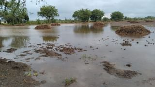 Porbandar : બરડા પંથકમાં વરસ્યો ધોધમાર કમોસમી વરસાદ, છેલ્લા 24 કલાકમાં 118 તાલુકામાં વરસાદ, જુઓ Video