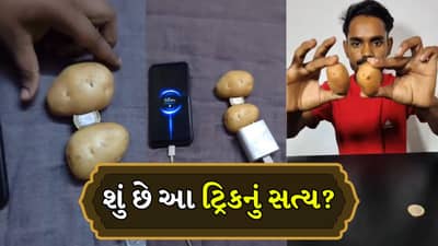 બટાકાથી થઈ રહ્યો છે મોબાઈલ ચાર્જ, શું છે આ Viral Videoનું સત્ય