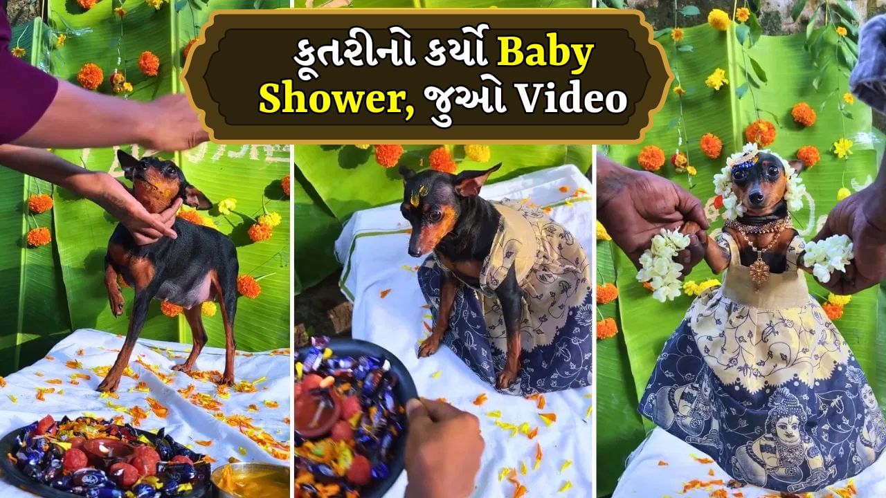 પરિવારે ધામધૂમથી ગર્ભવતી કૂતરીનો કર્યો Baby Shower સેરેમની, ઉજવણીનો Video થયો Viral