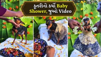 પરિવારે ધામધૂમથી ગર્ભવતી કૂતરીનો કર્યો Baby Shower સેરેમની, ઉજવણીનો Video થયો Viral