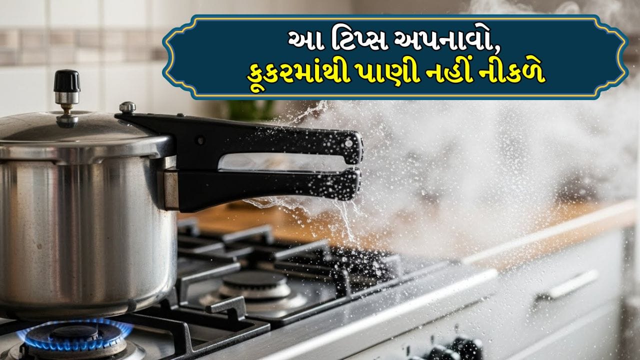 Pressure cooker water leakage (4)