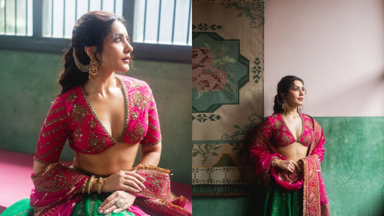 ફિલ્મો ઉપરાંત, તે બ્રાન્ડ એન્ડોર્સમેન્ટ અને જાહેરાતોમાંથી પણ સારી કમાણી કરે છે. તેના હૈદરાબાદ અને હરિયાણામાં લક્ઝરી ઘર છે. રાશિને લક્ઝરી કારનો પણ ખૂબ શોખ છે.