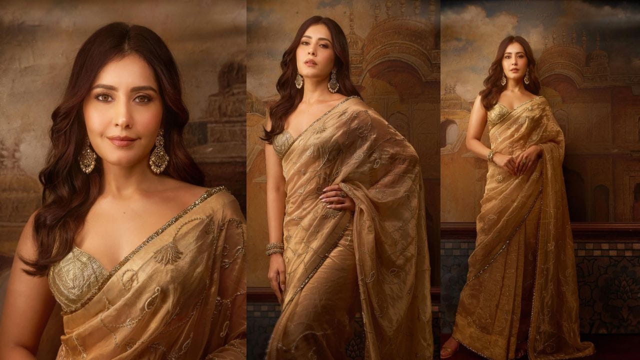 રાશિ ખન્નાના કરિયર વિશે વાત કરીએ તો, તેમણે હિન્દી ફિલ્મોથી પોતાની કારકિર્દીની શરૂઆત કરી હતી. બાદમાં તેમણે સાઉથની ફિલ્મ ઉદ્યોગમાં પોતાને સ્થાપિત કરી. જોકે, અભિનેત્રીનું બાળપણનું સ્વપ્ન કંઈક બીજું જ હતું.