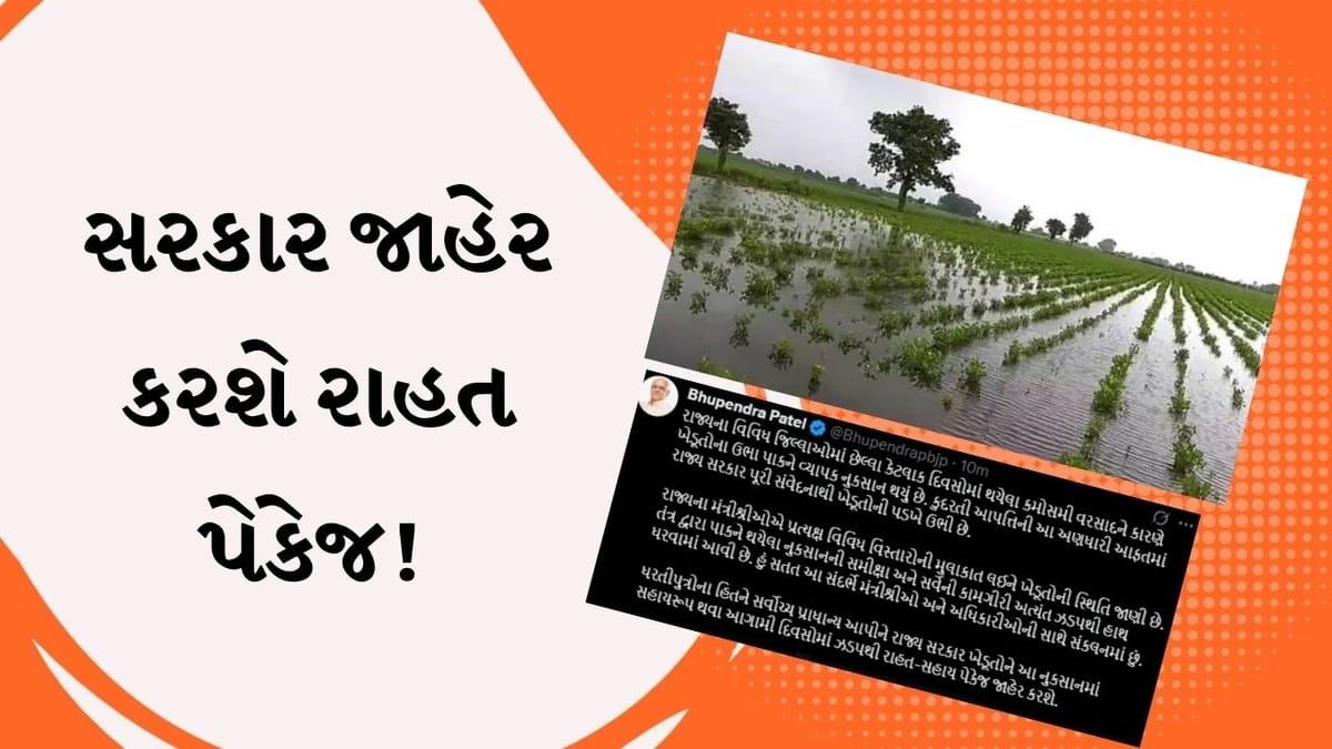 CM ભૂપેન્દ્ર પટેલની જાહેરાત, ટૂંક સમયમાં ખેડૂતો માટે જાહેર કરાશે રાહત પેકેજ, જુઓ Video